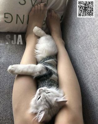 欧美720hd_BD英语视频大全